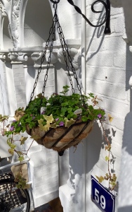 spring hanging basket